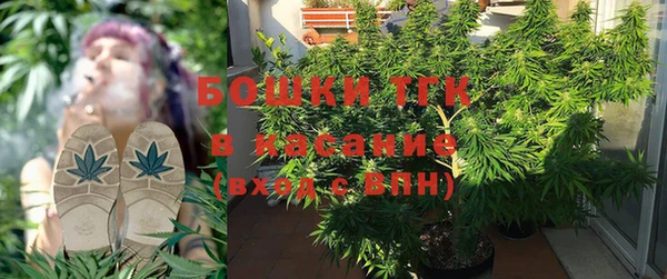 ПСИЛОЦИБИНОВЫЕ ГРИБЫ Баксан