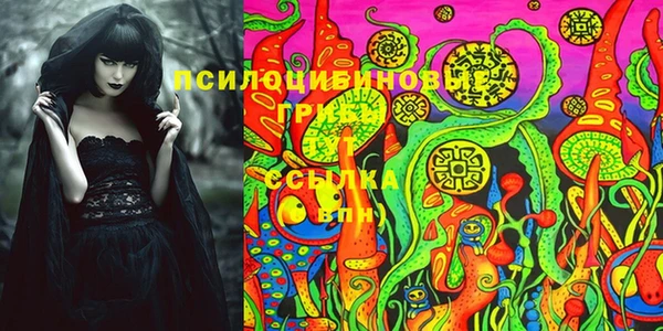 a pvp Аркадак