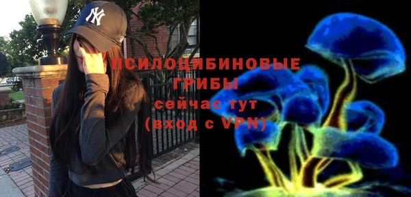 хмурый Балабаново